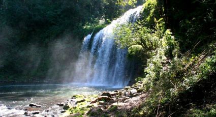 Chimalapa, las cascadas más impresionantes que puedes conocer a sólo dos horas de Huasca de Ocampo