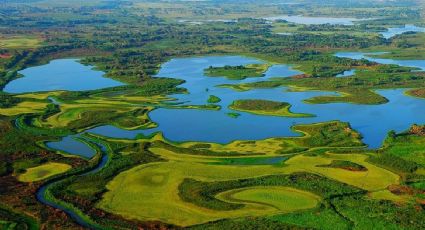 Pantanos de Centla, la región de humedales más grande que debes conocer en tus viajes por Tabasco