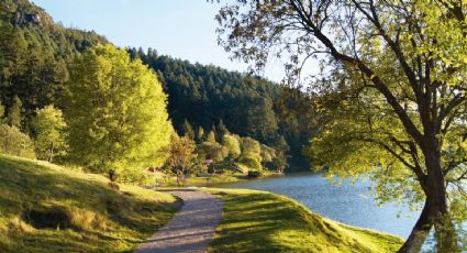 ¿Playa o bosque? Pueblos Mágicos perfectos para planear una salida en pareja