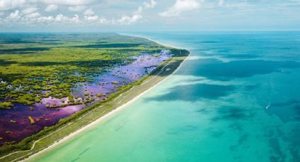 Playas Platino: Los 7 destinos de Yucatán que obtuvieron este reconocimiento