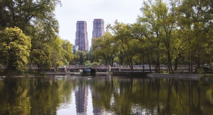 ¡Qué elegancia! Así será la calzada flotante que se construye en Chapultepec