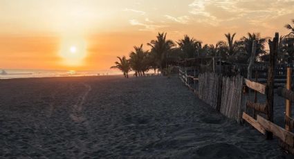 Cuyutlán, la famosa playa de Colima que tiene una ‘Ola Verde’