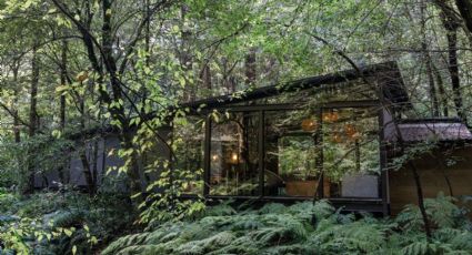 5 hoteles en el corazón del bosque para una escapada romántica en pareja