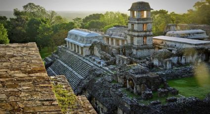 ¡INAH continúa con los hallazgos! Encuentran el primer cementerio maya en la ruta del Tren Maya