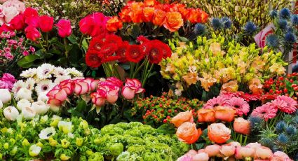 ¿Sin planes para el "finde"? Lánzate a la Feria de las Flores de San Ángel con actividades gratis