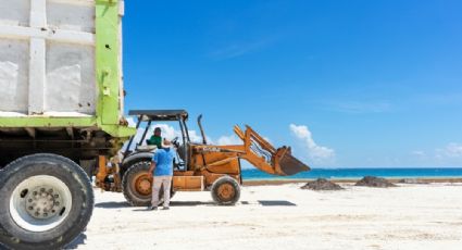 ¿Cuáles son las playas con y sin SARGAZO hoy 13 de julio 2022? MAPA