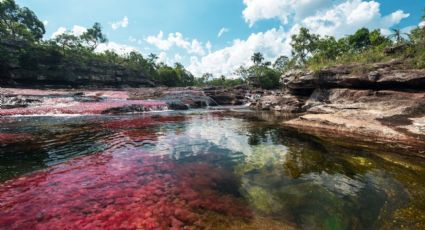 Caño Cristales, el centro ecoturístico más bello de Colombia reabre sus puertas al turismo