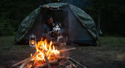 El destino es pet friendly: Destinos en México y América Latina para gozar con tu mascota