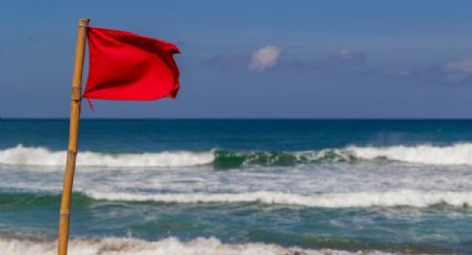 Vacaciones de verano: ¿Cuál es el significado de las banderas de colores en la playa?