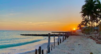 Chuburná, la playa más bella de Yucatán para pasar tus vacaciones de verano