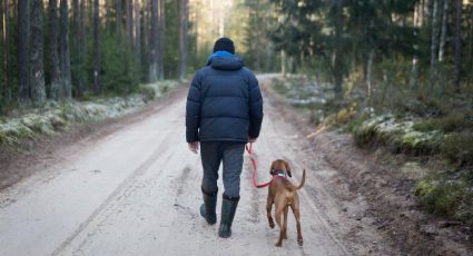 Día del Perro: 5 Pueblos Mágicos perfectos para un viaje de fin de semana con tu mascota