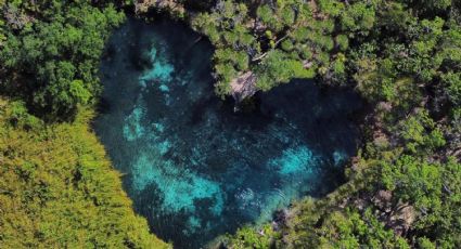 Cenote corazón: cómo llegar al destino más romántico de Tulum