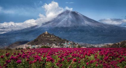 El asombroso Paso de Cortés para disfrutar de la naturaleza entre volcanes