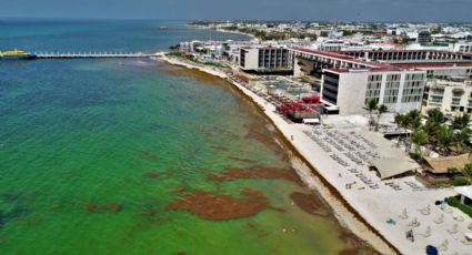 ¿Cuáles son las playas con y sin SARGAZO hoy 29 de julio 2022? MAPA