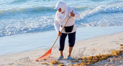 ¿Cuáles son las playas con y sin SARGAZO hoy 30 de julio 2022? MAPA