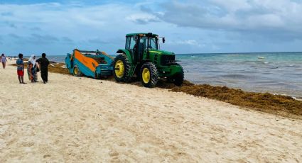 ¿Cuáles son las playas con y sin SARGAZO hoy 31 de julio 2022? MAPA