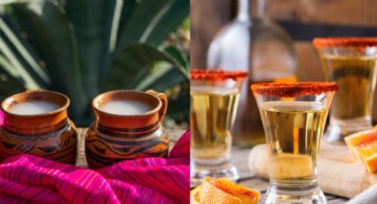 Pulque VS Mezcal: 3 destinos para disfrutar de la bebida de los dioses en México