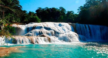 Cascadas de Agua Azul, el paraíso natural perfecto para refrescarte en verano