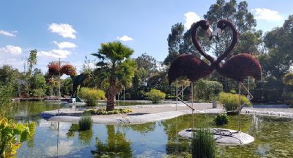 Pueblos Mágicos con hermosos jardines botánicos para disfrutar un fin de semana