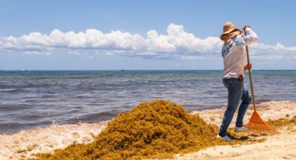 ¿Cuáles son las playas con y sin SARGAZO hoy 06 de julio 2022? MAPA