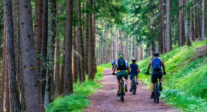 3 lugares extremos para hacer ciclismo de montaña en la CDMX