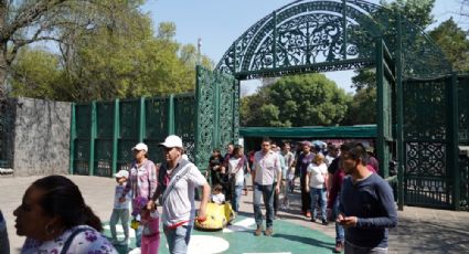 Zoológico de Chapultepec: Cuáles son los HORARIOS y COSTOS de visita en 2022