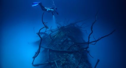 Cenote Angelita: el místico bosque que se oculta entre dos ríos y puedes conocer