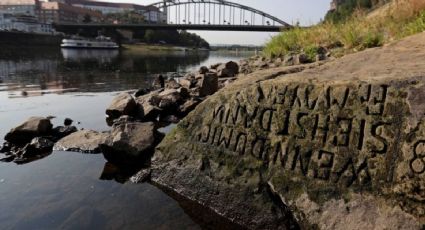 Piedras del hambre: qué son y por qué tienen preocupada a toda Europa