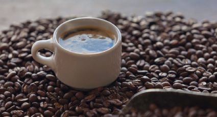 Dos en uno: El pueblo cafetalero más bello de Oaxaca cerca de la playa