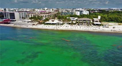 ¿Cuáles son las playas con y sin SARGAZO hoy 2 de agosto 2022? MAPA