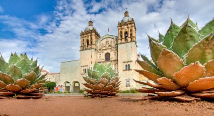 ¿Viaje romántico? Las mejores terrazas en Oaxaca para disfrutar de un mezcal