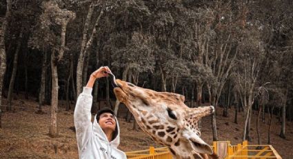 Bioparque Estrella: cuál es el costo de entrada al safari más grande de México