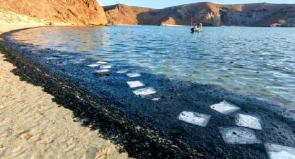 Playa Balandra: ¿por qué sus aguas se tiñeron de negro y se declaró contingencia ambiental?