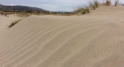 El bello desierto a 2 horas de CDMX que puedes conocer en un viaje de ida y vuelta