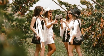 ¡Amantes del vino! 5 viñedos imperdibles si viajas a San Miguel de Allende