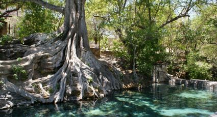 El balneario natural a menos de tres horas de la CDMX con entradas por 70 pesos