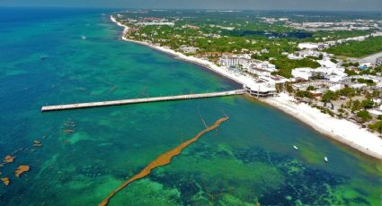 ¿Cuáles son las playas con y sin SARGAZO hoy 3 de agosto 2022? MAPA