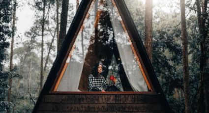 Wander, las cabañas alpinas en medio del bosque para conectar con la naturaleza