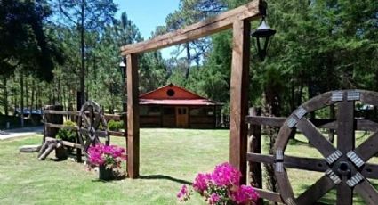 Parque Nacional Campo Alegre, el paraíso con cabañas desde 800 pesos a tres horas de CDMX