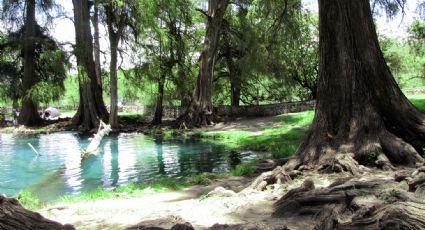 Los Ahuehuetes, el destino de aguas turquesas que se hizo viral en TikTok