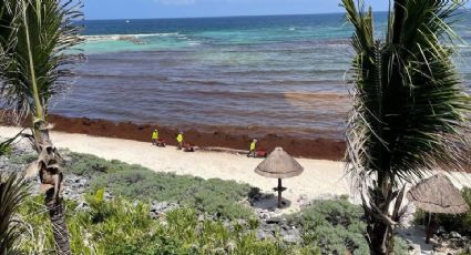 ¿Cuáles son las playas con y sin SARGAZO hoy 7 de agosto 2022? MAPA