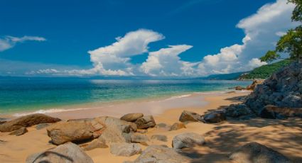 Playa Madagascar, el paraíso virgen de Puerto Vallarta para conocer en el verano