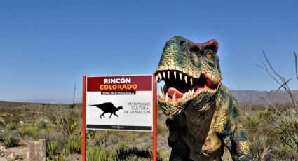 ¡Viaja al pasado! Rincón Colorado, el sitio para ver restos de dinosaurios en México