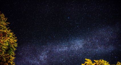 Perseidas 2022: dónde y cuándo podrás ver la lluvia de estrellas más bella del año