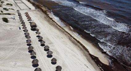 ¿Cuáles son las playas con y sin SARGAZO hoy 9 de agosto 2022? MAPA