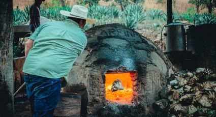 Así es la Ruta del Mezcal que llegó al Pueblo Mágico de Malinalco