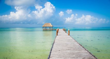 Tips de viaje: Cómo llegar del aeropuerto de Cancún a Holbox de forma fácil