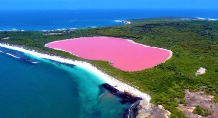 Lago Hillier, el cuerpo de agua rosa que tienes que conocer en Australia