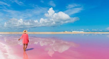 La Coloradas: Cuál es la mejor época para ir a la única playa rosa mexicana