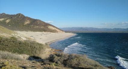 Chipehua, la playa casi desconocida rodeada de dunas de arena blanca